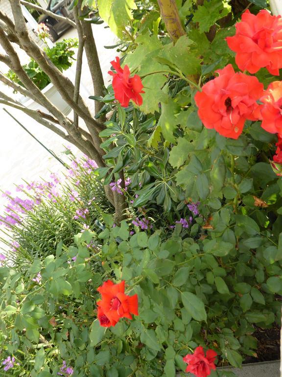 Apartments Bojanic Vodice Ngoại thất bức ảnh